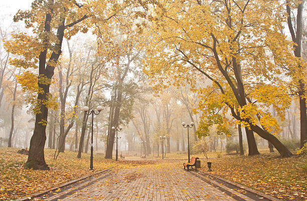 istock Mariinsky foggy park in Kiev 134551038