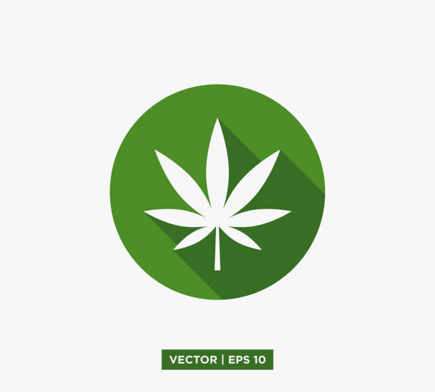 cannabis marijuana leaf icon vector illustration design edytowalny eps 10 o zmiennym rozmiarze - narcotic medicine symbol marijuana stock illustrations