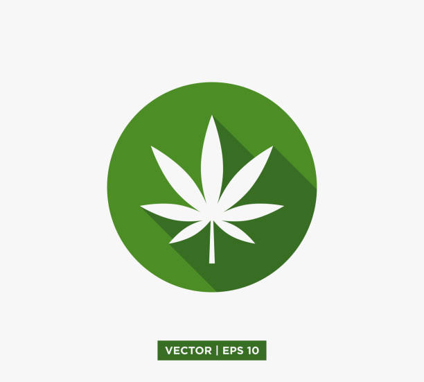 Cannabis Marijuana Leaf Icon Vector Illustration Design Editable Resizable EPS 10 Cannabis Marijuana Leaf Icon Vector Illustration Design Editable Resizable EPS 10 cannabaceae stock illustrations