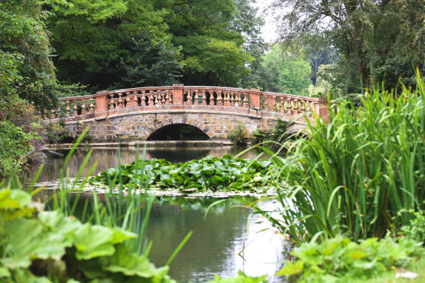 istock Scenic view over a calm lake with a bridge 1345513488
