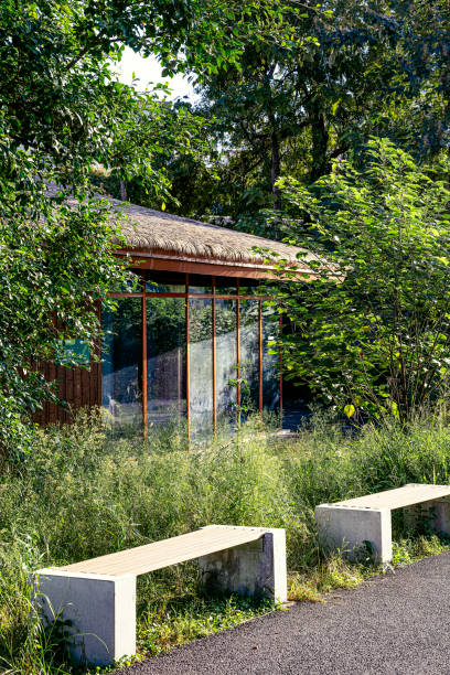 istock Filmed in Chengdu in the afternoon 1345518163