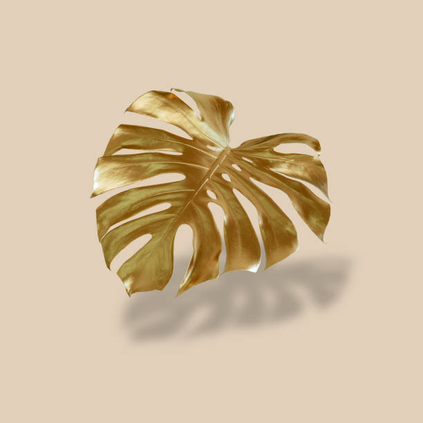 istock Golden tropical palm leaf Monstera on pastel luxury yellow-gray . Abstract pattern for design and space for text 1345519209