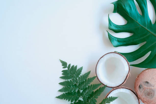 istock Tropical green palm leaf and cracked coconut on white background. Nature concept. flat lay, top view 1345519210