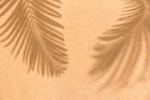 Summer beach day scene with tropical palm leaves shadow on sand background. Minimal sunlight tropical flat lay arrangement.