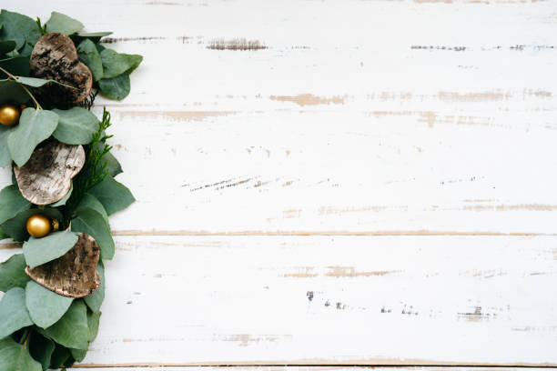 istock Eucalyptus leaves on white wooden background 1345520677