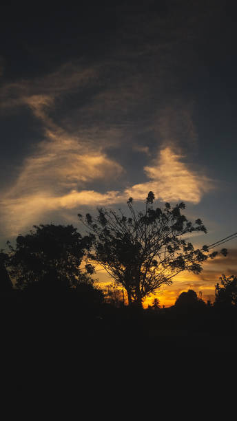 istock Beautiful landscape view with sunrise 1345522906