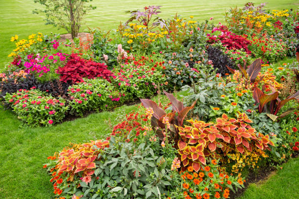 istock Colorful flower garden 1345525147