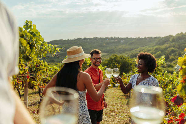 toasting to better days - estabelecimento vinicola imagens e fotografias de stock