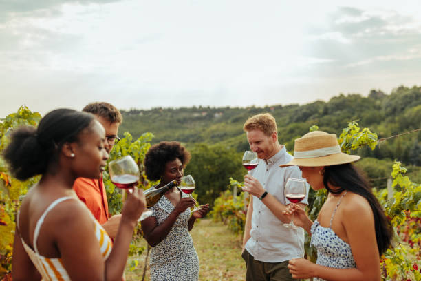 Friends having a glass of wine outdoors Group of diverse people smelling their drink during a tasting on a wine farm wine tasting stock pictures, royalty-free photos & images