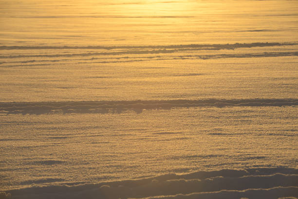 snowy plain illuminated by the rays of the setting sun