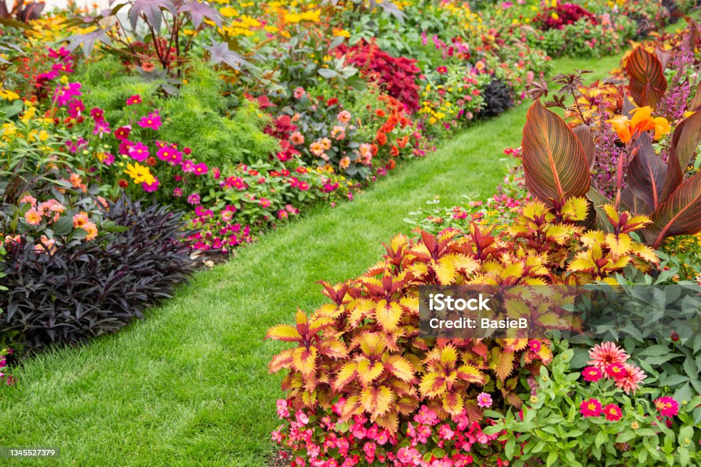 Colorful flower garden Yard - Grounds Stock Photo