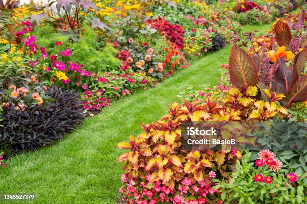 Colorful Flower Garden Stock Photo - Download Image Now - Yard - Grounds, Autumn, Perennial