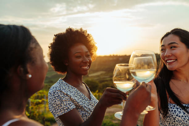 Friends enjoying good moments together in vineyard Three diverse friends are toasting with a glass of white wine. They are celebrating together. winery stock pictures, royalty-free photos & images