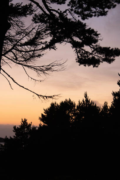 istock west coast sunset background clouds and trees oregon summer 1345528509