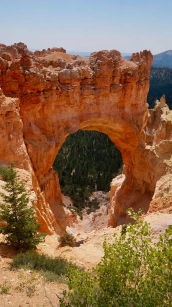 istock American Nature / Bryce Canyon National Park.Natural Bridge.Vertical. 1345530636