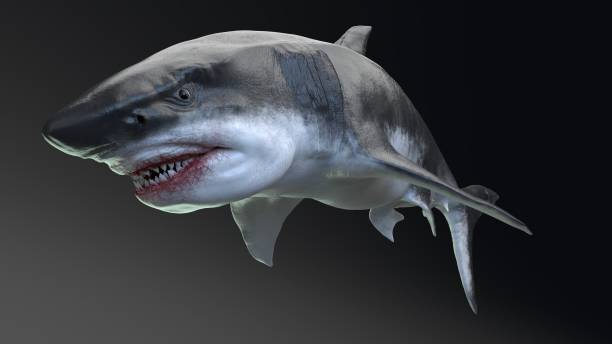 istock MEGALADON BPR Render, of background. 3d rendering 1345530702