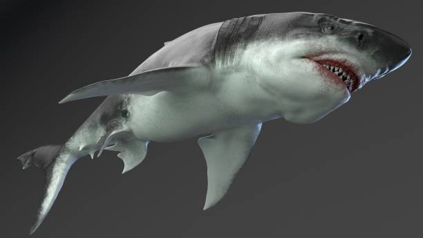istock MEGALADON BPR Render, of background. 3d rendering 1345530703