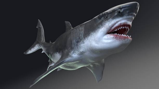 istock MEGALADON BPR Render, of background. 3d rendering 1345530710
