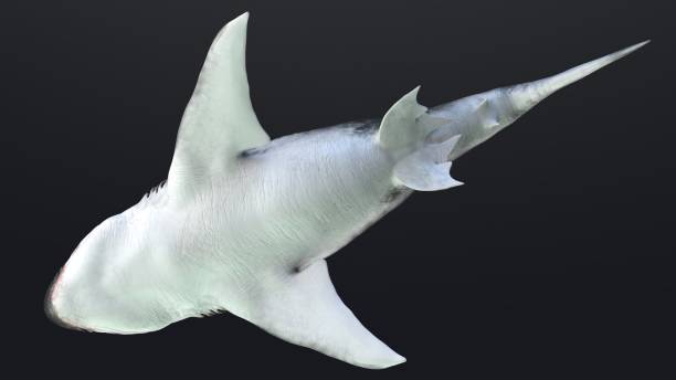istock MEGALADON BPR Render, of background. 3d rendering 1345530720