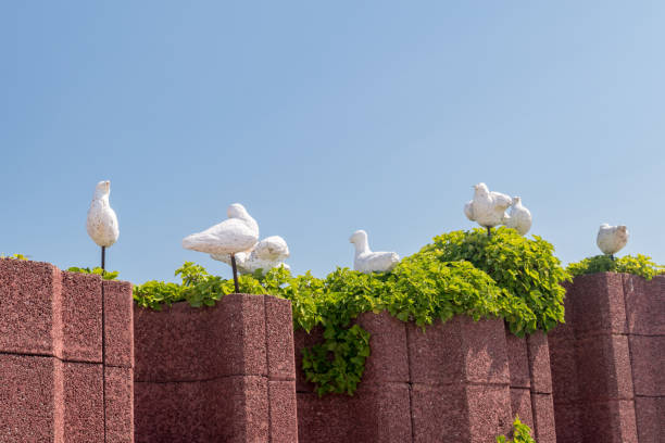 white seagull looks curiously above the Column at Venice in Italy