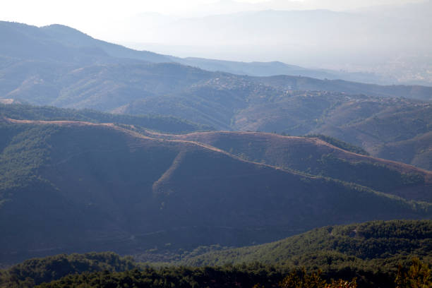 Ida Mountain-Kaz Daglari in Turkey. (in Turkish: Kazdagi, meaning Goose Mountain), Turkey. Beautiful nature..Ida Mountain has endemic plants and trees .