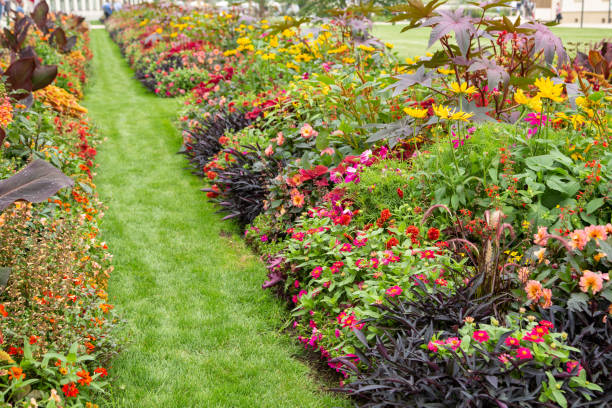 istock Colorful flower garden 1345534478
