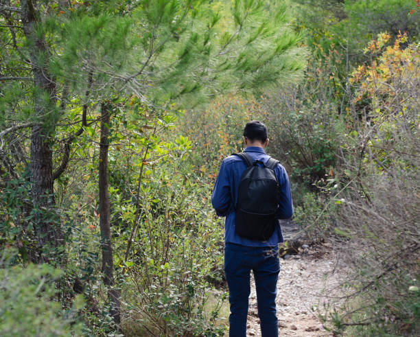 młody człowiek zagubiony w górach, patrząc na kompas lub telefon, aby zorientować się i znaleźć drogę. - discovery forest lost confusion zdjęcia i obrazy z banku zdjęć