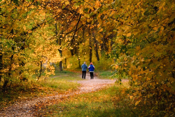 istock Active senior women walking  in beautiful autumn forest 1345535017