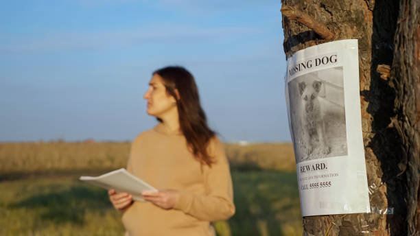 Nervous lady with flyers in park focus on missing dog poster