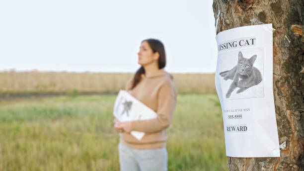 istock Nervous lady with flyers in park focus on missing cat poster 1345538891
