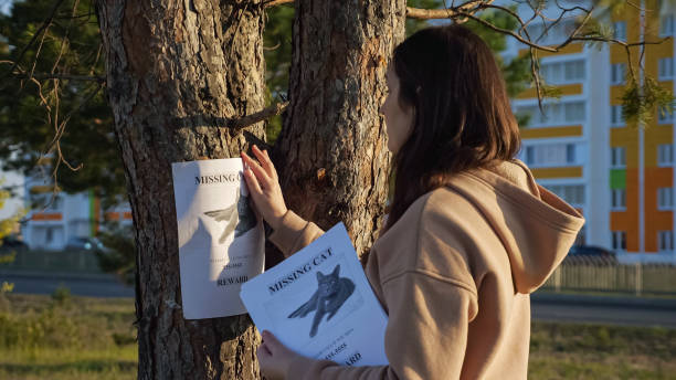 istock Lady hangs poster of missing cat and strokes photo on tree 1345538893