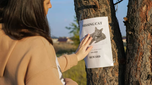 istock Lady hangs poster of missing cat and strokes photo on tree 1345538896