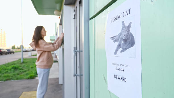 dueño con sudadera con capucha cuelga carteles de gato desaparecido en el edificio - lost pet fotografías e imágenes de stock