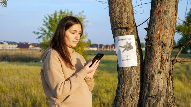 mujer con sudadera con capucha marca el número del póster de gato desaparecido en el parque - lost pet fotografías e imágenes de stock