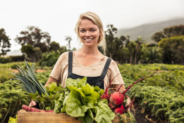 istock Vegetable farmer smiling cheerfully after harvest 1345541343