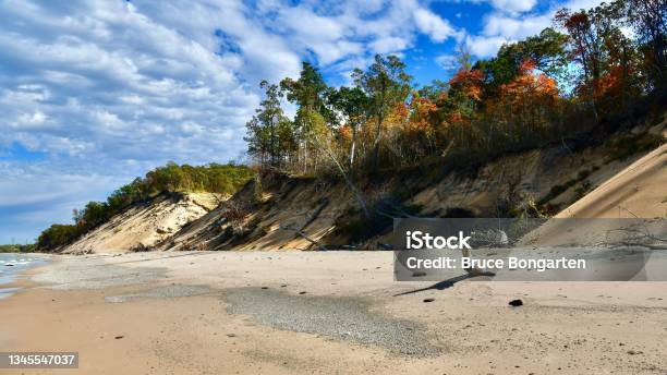 Sassafras In Fall Color On The Indiana Dunes Stock Photo - Download Image Now - Indiana, Sand Dune, National Park