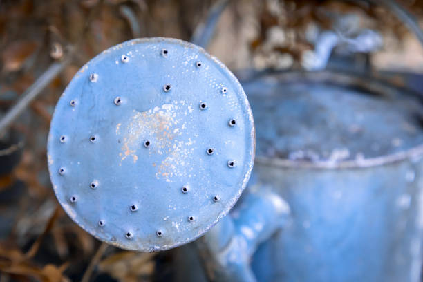 Orange Metal Watering Can On Green Background