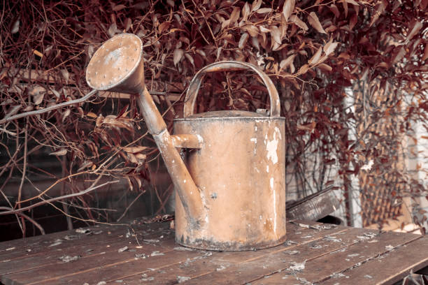 An old watering can on a wooden table surrounded by vines in a domestic garden