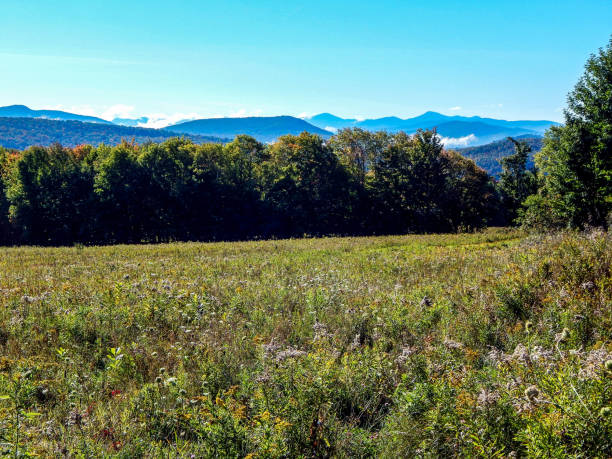 istock Countryside with trees and mountains in the background 1345548615