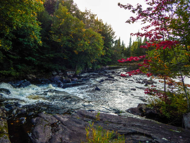 istock Mighty river between trees of various colors 1345549467