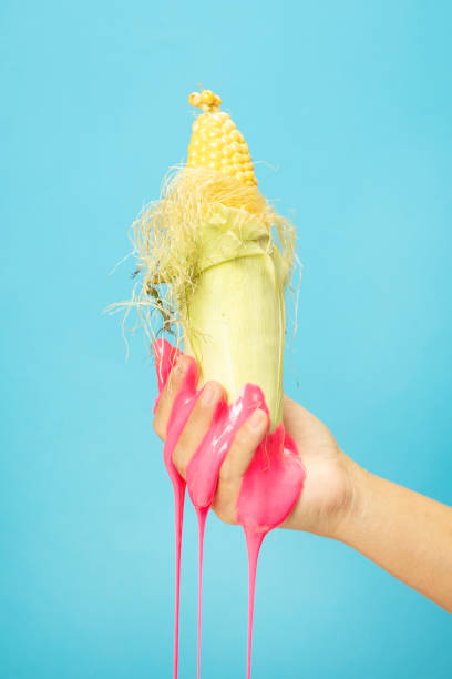 Hand Holding Sliced Corn cob on blue paper background.