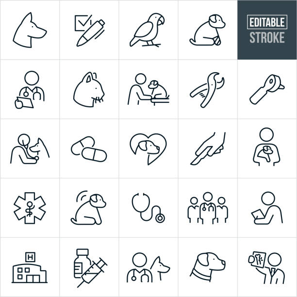 Veterinarian Thin Line Icons - Editable Stroke A set of veterinarian icons with editable strokes or outlines using the EPS file. The icons include a veterinarian, German Shepard dog, checkmark, parrot, dog with injured leg and cast, veterinarian with chart, cat, veterinarian giving a dog a checkup, pet nail clippers, otoscope, veterinarian checking a dogs breathing and heart with a stethoscope, medicine pills, hand with scalpel representing surgery, dog owner holding puppy in arms, dog with tracking chip, stethoscope, team of veterinarians, animal hospital, pet immunization, Labrador retriever, veterinarian holding an x-ray of broken bone and other related icons. animal hospital stock illustrations