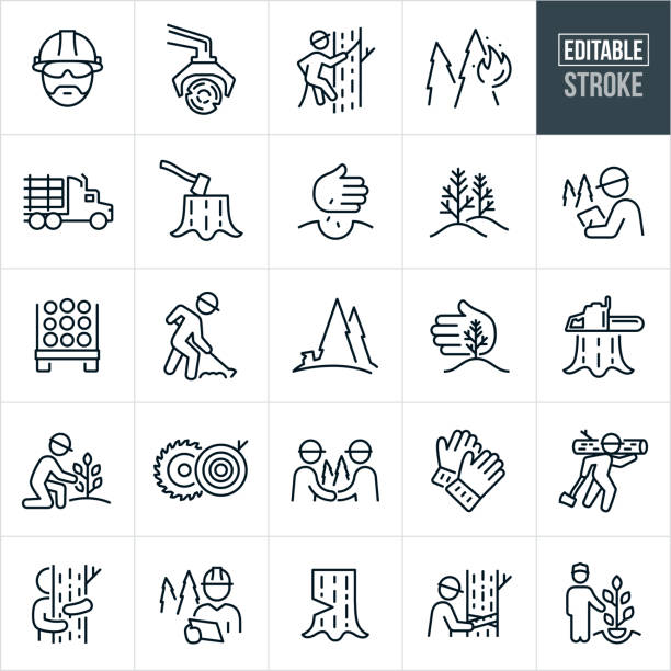 Forestry Thin Line Icons - Editable Stroke A set of forestry icons that include editable strokes or outlines using the EPS vector file. The icons include a forester wearing a hardhat, machine logging, lumberjack in tree, forest fire, forest management, logging truck, stump with ax, hand planing tree seeds, pine tree saplings, forester with pen and paper doing a study or report while in the forest, forester wearing a hardhat preparing forest floor with tools, deforestation, hand protecting a young pine tree sapling, chainsaw on tree stump, person planting a tree, sawmill, work gloves, tree hugger, forester doing studies on tree using a tape measure and other related icons. forest fire stock illustrations