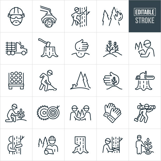 Forestry Thin Line Icons - Editable Stroke A set of forestry icons that include editable strokes or outlines using the EPS vector file. The icons include a forester wearing a hardhat, machine logging, lumberjack in tree, forest fire, forest management, logging truck, stump with ax, hand planing tree seeds, pine tree saplings, forester with pen and paper doing a study or report while in the forest, forester wearing a hardhat preparing forest floor with tools, deforestation, hand protecting a young pine tree sapling, chainsaw on tree stump, person planting a tree, sawmill, work gloves, tree hugger, forester doing studies on tree using a tape measure and other related icons. axe stump stock illustrations