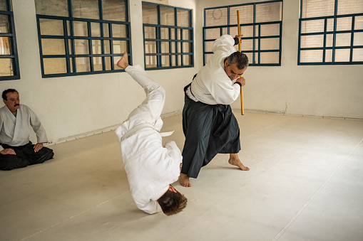 Two men practicing aikido, and the one man is watching them