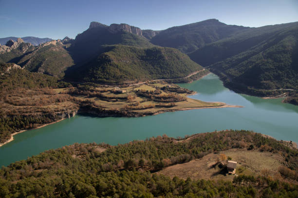 istock Llosa del Cavall swamp 1345557683