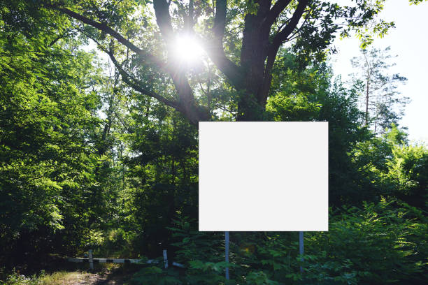 istock Empty white banner with mock up space on walkway in environmental park 1345558589