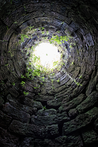 View from the inside of an iron furnace built in the mid 1800s. Ferns and other vegetation have started to grow at the top as nature reclaims the site.