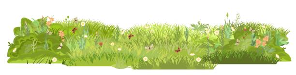 istock Dense summer meadow with flowers. Butterflies. Grassy lawn green thickets. Grass area. Playground. Place. Beautiful landscape. Isolated on white background. Flat style. Cartoon design. Vector 1345560764