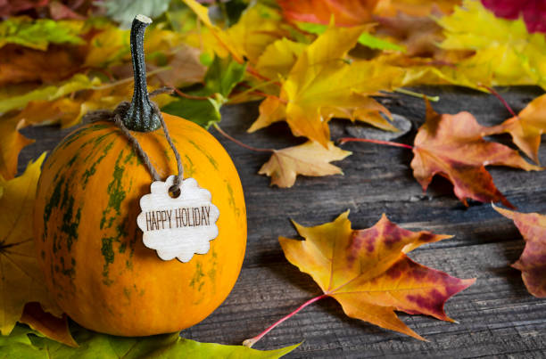 istock orange pumpkin with a Happy holiday text on wooden table 1345561815